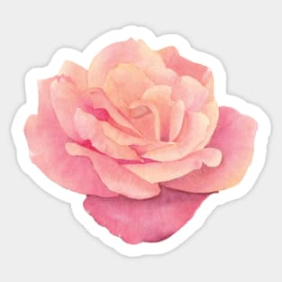 Watercolor rose Sticker